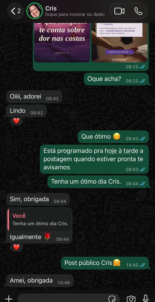 Conversa no WhatsApp com Cris Castro aprovando o trabalho